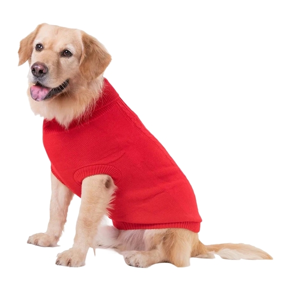 Bwealthest Other - NWOT Dogs Turtleneck Sweater